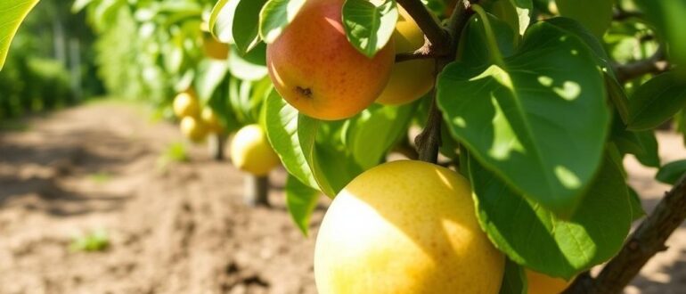 Посадка плодовых деревьев: сроки и правила — как выбрать момент и вырастить крепкий сад